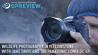 Wildlife photography in Yellowstone with Jake Davis and the Panasonic Lumix DC-G9