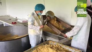Making Organic Cane Sugar in Colombia