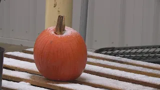 Snow falling in Bowling Green, Missouri