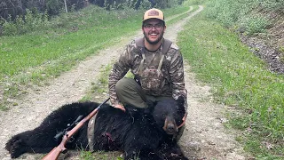 Chevron Black Bear I BC Spring Bear