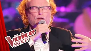 Billy Joel - Piano Man (David Warwick) | The Voice Senior | Sing Off