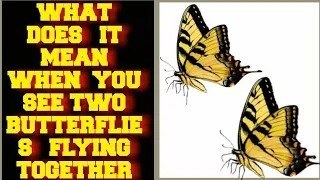 WHAT DOES IT MEAN WHEN YOU SEE TWO BUTTERFLIES FLYING TOGETHER ?