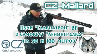 CZ Mallard и пули. Зимний экспресс-тест. (CZ Mallard 12/76 and bullets. Winter express test.)