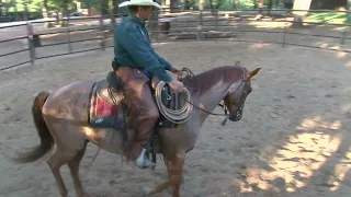 Ride Smart with Craig Cameron: Techniques for Warming Up a Horse