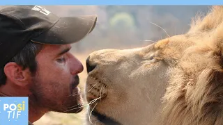 L’homme qui câline et embrasse des lions