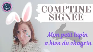 Mon petit lapin a bien du chagrin - DES COMPTINES ET DES SIGNES - avec MuMy