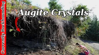 Doty Hills Augite // The Northwest's "Other Augite Location" for Black Crystals