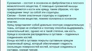 Михаил Краснов. Оздоровление опорно двигательной системы флуревитами компании САД-ACLON