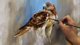 Painting the Cooper's Hawk  Paint It Simply