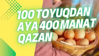 Toyuq Yumurta Biznesi (100Toyuqdan aya 400 manat pul qazan )