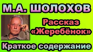 М.А. Шолохов. Рассказ «Жеребёнок». Краткое содержание.