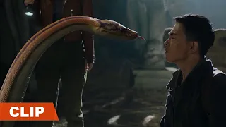 Clip |  心存善念终得善报，小花蛇精准认主少年！【巨兽狂蟒 GIANT PYTHON】