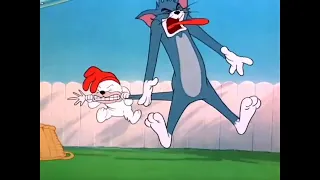 tom and  jerry  scream          Compilation Moment  Part 3