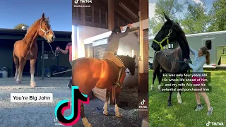 Equestrian - TikTok Compilation#8