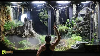 2 Month Evolution of My Giant Rainforest Vivarium | S1 Ep. 12