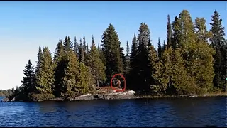 Sasquatch Captured on Video by Ontario Boaters