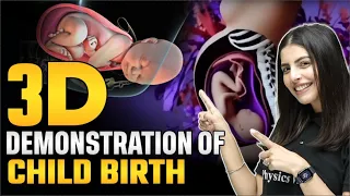 3D Demonstration of CHILDBIRTH 🤩😱 अब पढाई होगी और मज़ेदार !! First LIVE Class 💥