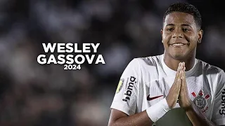 Wesley Gassova - The Future of Brazil 🇧🇷