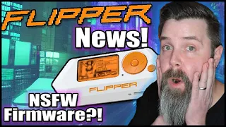 Flipper Zero News Update!! NSFW Xtreme Firmware!?  Animation Managers?  RGB LED Screen!?!?! 👿 ☠️ 🐬