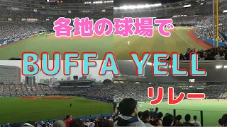 各地の球場で名曲 BuffaYell（バファエール）リレー