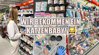 Wir bekommen ein Katzenbaby! 🐱 Ersteinkauf für die Katze & Haul I Stefanie Le