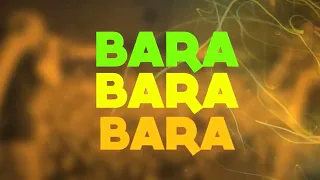 Bara Bara Bere Bere Hinojosa  Mr Chris Remix Lyric Video