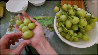 Straight Dough Method Bread making - GRAPE YEAST WATER - timelapse