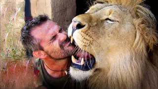 A Lion Recognized His Human Adoptive Father And Ran Into His Arms