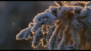 Сегодня Бог проснулся утром рано (Ирина Самарина-Лабиринт)