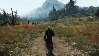 The Witcher 3 Music & Ambience - Walking Through Beautiful Of Skellige 1440p