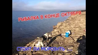 Рыбалка в конце Октябре на донки,закидушки. Стоит ли морозить задницу