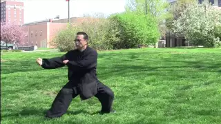 螳螂拳Praying Mantis Fist Kung Fu performed by Master Arthur Du