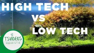 Low-Tech vs. High-Tech Aquarium - Was ist besser? - AquaAffin #5