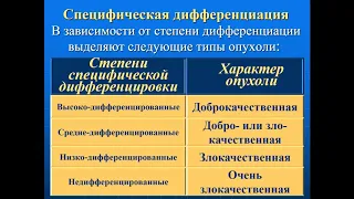 Патология - Лекция - Опухоли