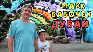 ОАЭ. Выпуск 3. парк бабочек в Дубае