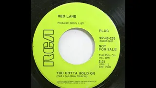 Red Lane "You Gotta Hold On" promo mono 45 vinyl