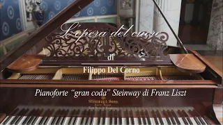 L'opera del cuore - Del Corno