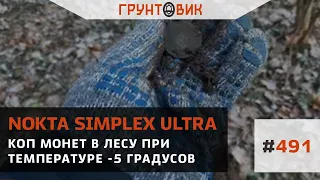 #491 Коп монет в лесу с Nokta Simplex Ultra при температуре минус 5 градусов.