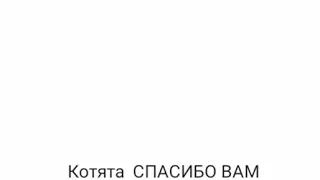 Переписка: " Любимый нахал " 3 часть КОНЕЦ. Смотреть до конца