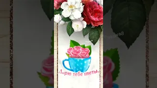 Тебе, Дорогая !!!💐🥰 Хорошего дня 🌹