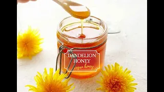 Vegan dandelion honey, aka Dandelion syrup
