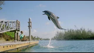 Dolphin Kick (2019)𝑭𝑼𝑳𝑳 𝑴𝑶𝑽𝑰𝑬 𝑶𝑵𝑳𝑰𝑵𝑬 𝑯𝑫