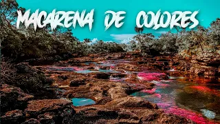 Caño Cristales en 4K!