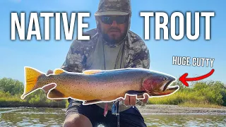 Catching NATIVE Trout in Montana! | ANYFIN GOES