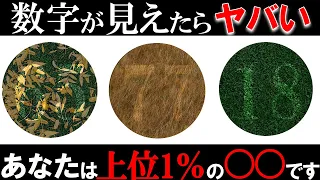 数字に見えたらヤバい！？たった数パーセントしか実は答えられないクイズ！Part2【ゆっくり解説】