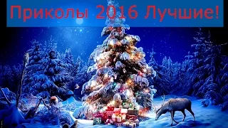 Приколы 2016  лучшие! | Новый год 2017