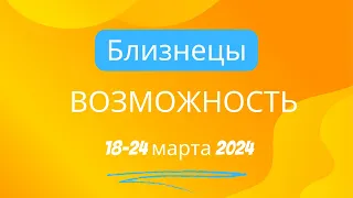 Близнецы! Возможность! 18-24 марта 2024