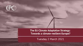 The EU Climate Adaptation Strategy: Towards a climate-resilient Europe?