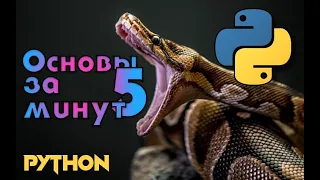 Python основы за 5 минут. Изучаем Python. Уроки Python.