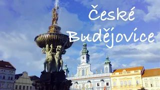 5 reasons to visit České Budějovice